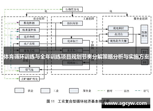 体育循环训练与全年训练项目规划节奏分解策略分析与实施方案